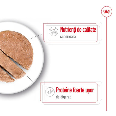 Royal Canin Maxi Adult hrană umedă câine, pate, 410 g – nutriție completă pentru câini adulți de talie mare